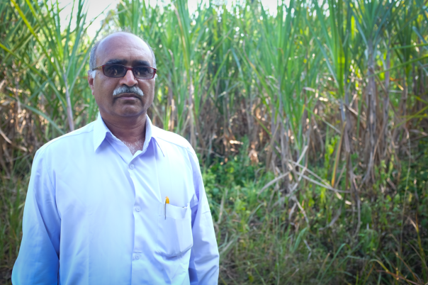 This is a farmer. He owns the land that the cane grows on.